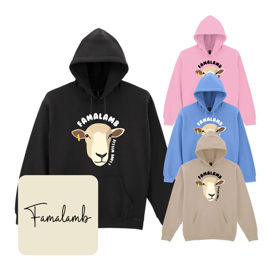 I Love Willie Heavyweight Hoodie