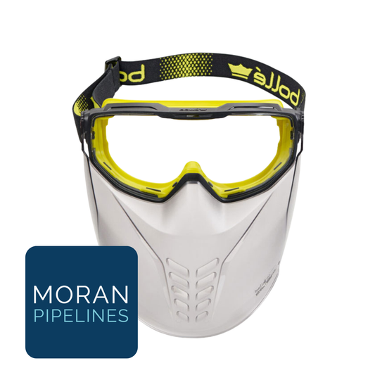 Bolle Goggles and Visor