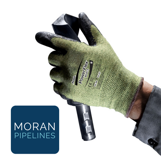 Ansell Activarmr 80-813 Gloves (Pack of 12)